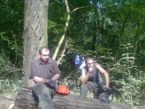 В Киевской области возобновились незаконные вырубки леса (ФОТО) В Киевской области возобновились незаконные вырубки леса (ФОТО)