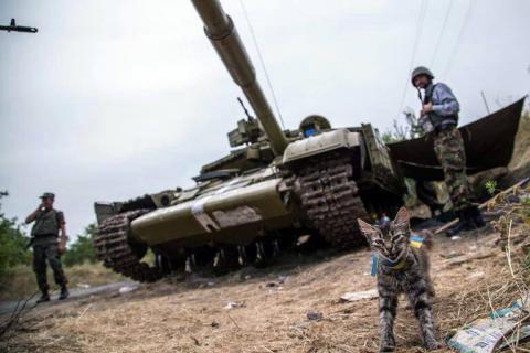 Минобороны опубликовало фотографии четвероногих любимцев с передовой (ФОТО) Минобороны опубликовало фотографии четвероногих любимцев с передовой (ФОТО)