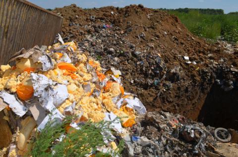 Россия планирует уничтожить еще минимум 100 тонн продуктов Россия планирует уничтожить еще минимум 100 тонн продуктов