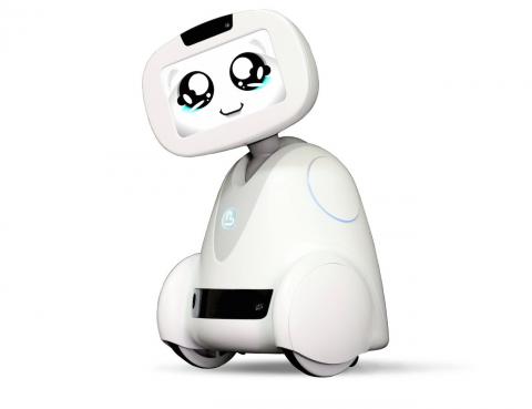 Робот для всей семьи будет стоить дешевле iPhone, - несколько слов о проекте Buddy Робот для всей семьи будет стоить дешевле iPhone, - несколько слов о проекте Buddy