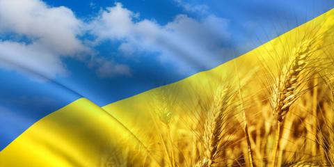 24 эмигранта, которыми гордится Украина (ФОТО) 24 эмигранта, которыми гордится Украина (ФОТО)