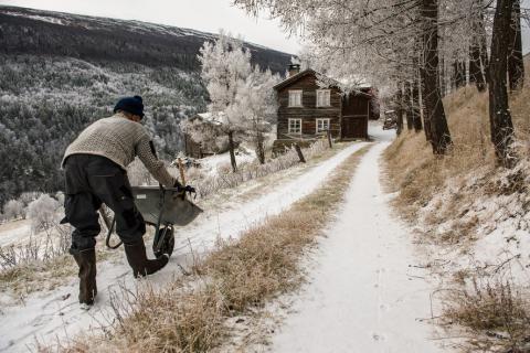 Норвежский лесничий. История одиночества в фотоснимках (ФОТО)