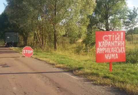 "Стой! Карантин": как в Украине борются с африканской чумой "Стой! Карантин": как в Украине борются с африканской чумой