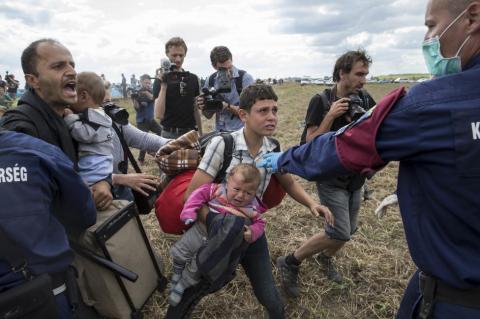 Венгрия возвела стену на границе с Сербией: жесткие меры для контроля миграции (ФОТО)