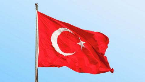 Анкара поддержит борьбу с ИГ в обмен на осуждение курдов