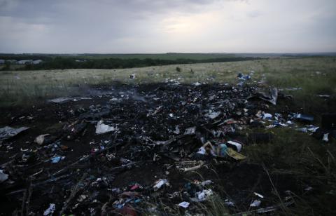 В Украине нашли новые останки жертв крушения Boeing В Украине нашли новые останки жертв крушения Boeing