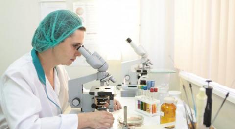 Выборы прошли – чума пришла Выборы прошли – чума пришла