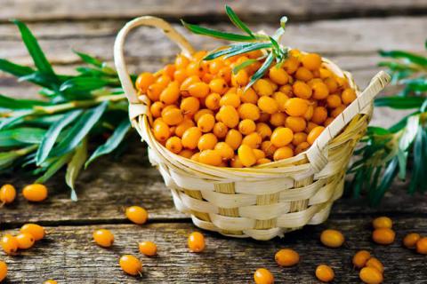 Помощники в холода. Топ-5 продуктов для любого зимнего меню Помощники в холода. Топ-5 продуктов для любого зимнего меню