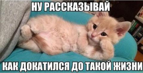 Когда логика отдыхает (ФОТО) Когда логика отдыхает (ФОТО)