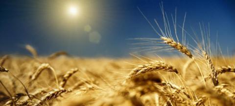 Украина готова заменить Россию на турецком рынке продуктов Украина готова заменить Россию на турецком рынке продуктов