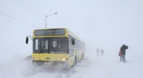 Под Полтавой автобус вытаскивали из снежного заноса (ВИДЕО) Под Полтавой автобус вытаскивали из снежного заноса (ВИДЕО)