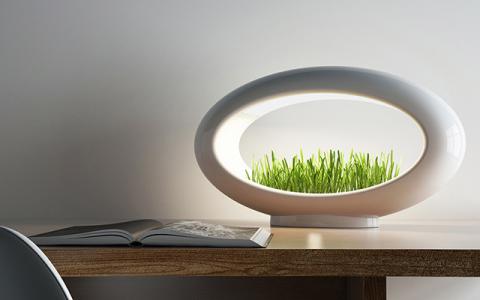 Лампа, которая растет. Grasslamp предлагает объединить свет, цвет и природу (ВИДЕО) Лампа, которая растет. Grasslamp предлагает объединить свет, цвет и природу (ВИДЕО)
