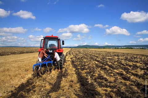 О рисках и преимуществах аграрных расписок в условиях финансовой нестабильности
