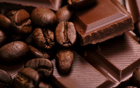 Бразильские ученые утверждают, что темный шоколад вреден для здоровья