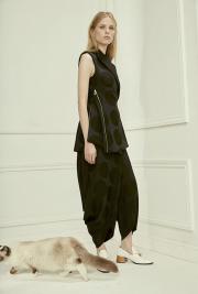 Кошки-модницы в новом лукбуке от Stella McCartney (ФОТО) Кошки-модницы в новом лукбуке от Stella McCartney (ФОТО)