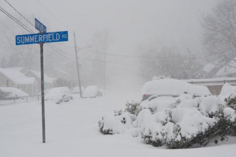 Нью-Йорк под снегом: забавные снимки от жителей города (ФОТО) 