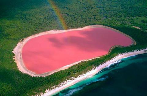 Очередное чудо природы. Как выглядит розовое озеро в Австралии (ФОТО)