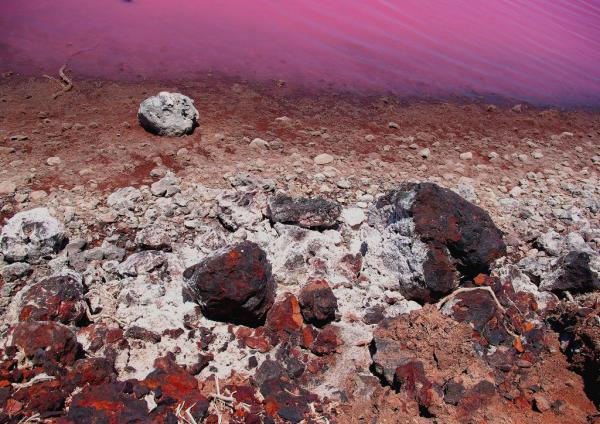 Очередное чудо природы. Как выглядит розовое озеро в Австралии (ФОТО)