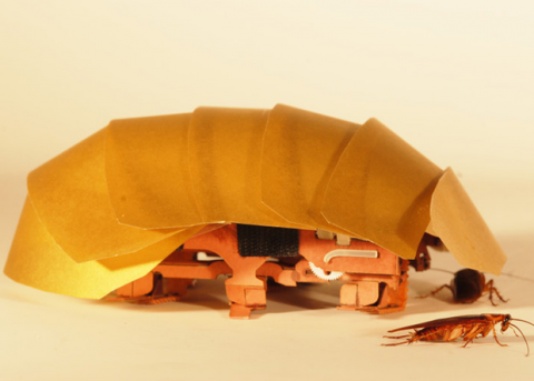 Американцы создали робота-таракана (ВИДЕО)