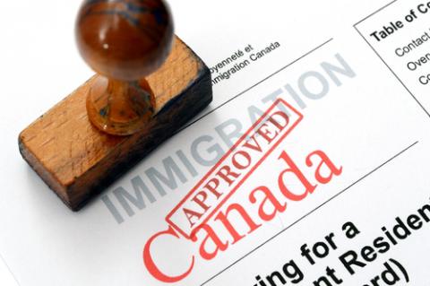 Главное при иммиграции в Канаду - это знания, - Инна Коган