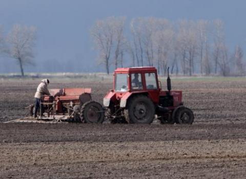 В Украине уже посеяно 92 тыс. га яровых зерновых