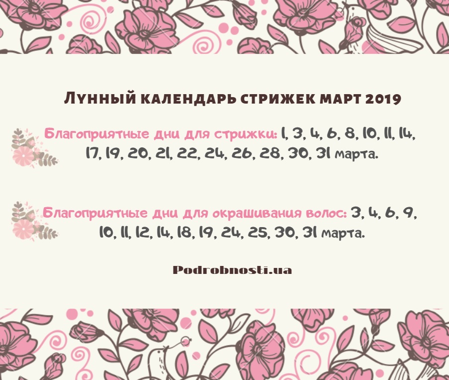 Чемпионат мира по хоккею с мячом 2019 рекомендации Чемпионат мира по хоккею с мячом 2019 рекомендации