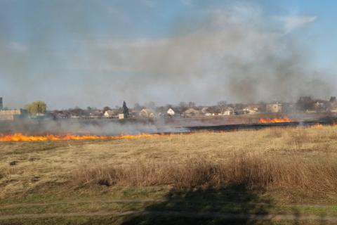Поджоги травы в Харьковской области: один погибший – фото, видео