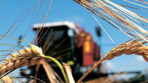 Украина вошла в тройку лидеров-экспортеров сельхозпродукции в Евросоюз