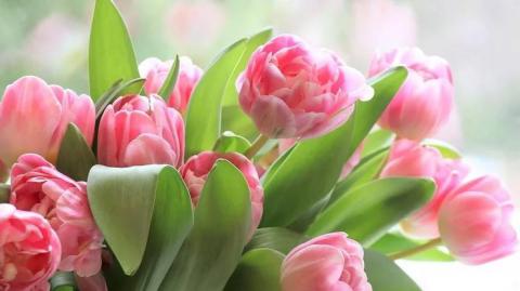 Необычные подарки на 8 марта: как устроить прекрасный весенний праздник и не разориться
