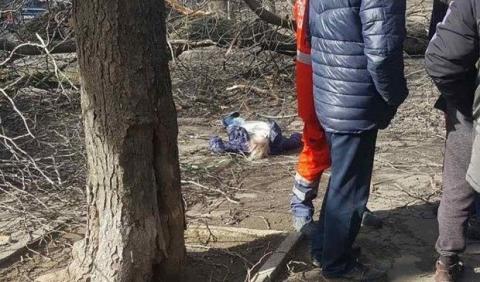 В Одессе из-за сильного ветра на женщину упало дерево, она погибла: фото