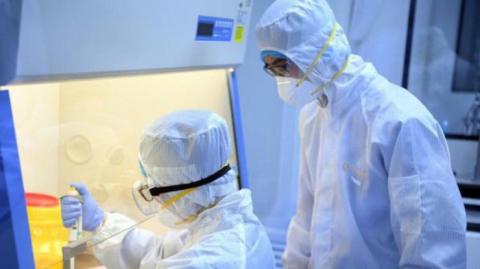 Вакцинация от коронавируса: ученые раскрыли детали