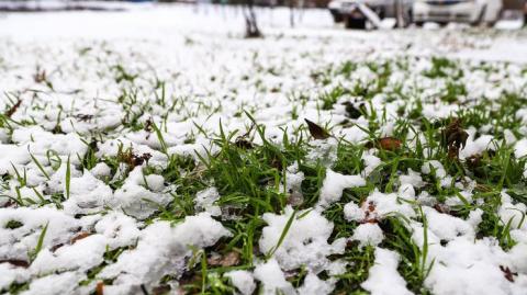 Зимнее волшебство: в Киеве выпал снег