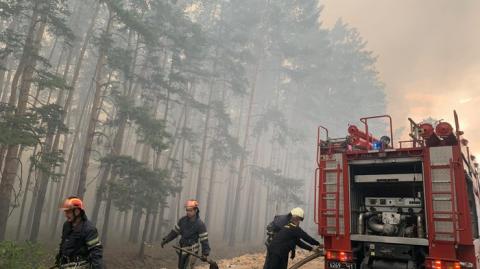 Лесные пожары в Луганской области: 4 жертв, 110 домов сгорели (видео)