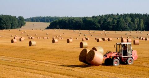 Зернышко, почва и кредиты: что предлагает государство для производителей в сфере сельского хозяйства?