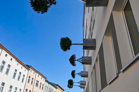 В Германии предложили сажать деревья прямо на фасаде домов