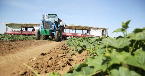 Частные исполнители готовы поддержать кредиторов в аграрном секторе