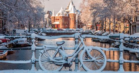 В Амстердаме не буду праздновать Новый год