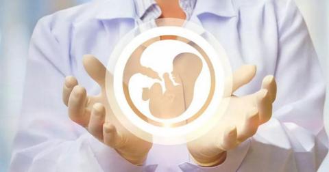 Болтливые медики могут сесть на 3 года за сведения об особенностях рождения - проект