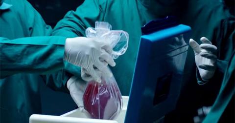 В МОЗ похвастались ростом темпов трансплантаций