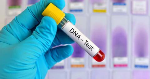 Родственников без вести пропавших лиц просят сдать тест ДНК