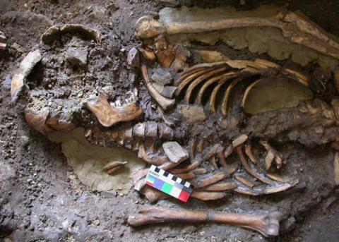 Археологи рассказали о родословной древних европейцев
