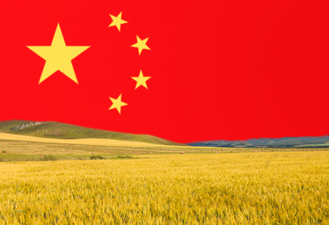Продовольственный рынок Китая: новые возможности для Украины