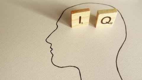 IQ-тест из 3 вопросов: узнай кто ты