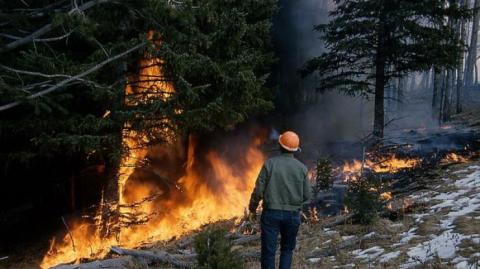 В Житомирской области снова вспыхнул крупный пожар