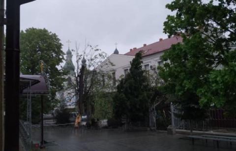 Непогода на Закарпатье: повалены деревья и обесточены села – видео, фото