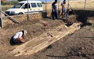 Археологи нашли в Греции дерево возрастом 20 миллионов лет
